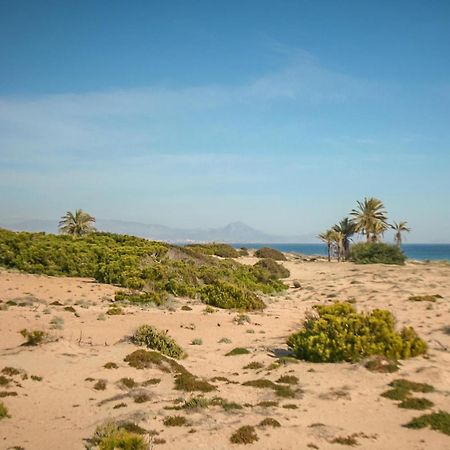 Lovely Apartment In Santa Pola With Wifi Eksteriør billede